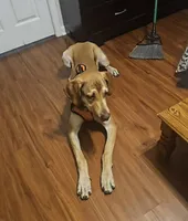 processed/c02002c0-19c8-4142-b364-6c384bc13027/listing/3a67144d-01f1-4f1c-8e1d-502aed19bce9/55deb5a1-128b-4834-98d5-bf51e6e78069