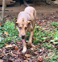 processed/c02002c0-19c8-4142-b364-6c384bc13027/listing/3a67144d-01f1-4f1c-8e1d-502aed19bce9/86aecf52-67e3-47e2-b745-fe3abd87f3c4