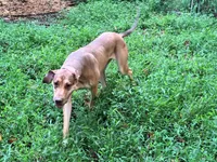 processed/c02002c0-19c8-4142-b364-6c384bc13027/listing/3a67144d-01f1-4f1c-8e1d-502aed19bce9/f19eb59b-cbad-4300-9ed0-b1202533dd46