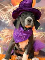 processed/c02002c0-19c8-4142-b364-6c384bc13027/listing/417d6a5a-ce8c-4dc4-8d69-69681c2e639b/00234b58-9bc7-4fb2-8080-67540b9852b6