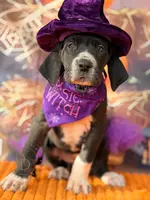 processed/c02002c0-19c8-4142-b364-6c384bc13027/listing/417d6a5a-ce8c-4dc4-8d69-69681c2e639b/5b1f9714-9c66-48c7-a6b9-281b2d52b01b