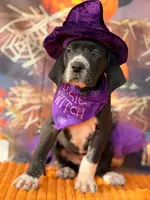 processed/c02002c0-19c8-4142-b364-6c384bc13027/listing/417d6a5a-ce8c-4dc4-8d69-69681c2e639b/68795989-4d8b-4633-8db2-c7c2e5e5cdea