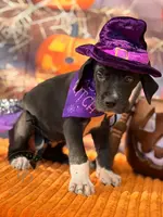 processed/c02002c0-19c8-4142-b364-6c384bc13027/listing/4c289952-f0cc-46ce-87eb-93c42f6f1db1/7b2737f1-d9bd-40fd-8d7a-4893ad1d0d78