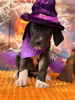 processed/c02002c0-19c8-4142-b364-6c384bc13027/listing/4c289952-f0cc-46ce-87eb-93c42f6f1db1/d92cdfb0-4f3f-4938-9012-6fcfffecd268