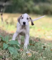 processed/c02002c0-19c8-4142-b364-6c384bc13027/listing/4f69c94d-0659-42f2-ac6f-cc990c6f31cf/222e387d-0a4f-4e7c-9000-dfd4f2f0a15a