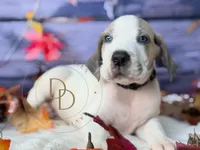 processed/c02002c0-19c8-4142-b364-6c384bc13027/listing/4f69c94d-0659-42f2-ac6f-cc990c6f31cf/75096c49-2861-4251-a163-af11bc552f5e