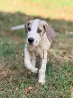 processed/c02002c0-19c8-4142-b364-6c384bc13027/listing/4f69c94d-0659-42f2-ac6f-cc990c6f31cf/79f06300-cb9c-4772-b237-0c67b6a0efc4