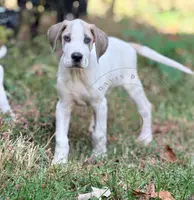 processed/c02002c0-19c8-4142-b364-6c384bc13027/listing/4f69c94d-0659-42f2-ac6f-cc990c6f31cf/adfd7868-18c2-466b-9d82-875185a25261