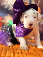 processed/c02002c0-19c8-4142-b364-6c384bc13027/listing/5058df2b-c2b5-4567-94aa-6b01b7efc745/98316839-e305-4d3e-9da3-5d3cb0ffa010