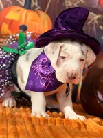 processed/c02002c0-19c8-4142-b364-6c384bc13027/listing/5058df2b-c2b5-4567-94aa-6b01b7efc745/bb38038e-eed7-4a48-a9aa-c7b03071a472