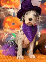 processed/c02002c0-19c8-4142-b364-6c384bc13027/listing/9d3c6e5d-d18c-4577-a36b-c3ce5d11c8af/232f25ad-4502-43ae-bc6b-f09374e2d41b