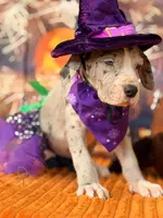 processed/c02002c0-19c8-4142-b364-6c384bc13027/listing/9d3c6e5d-d18c-4577-a36b-c3ce5d11c8af/ece22b60-a11c-4f81-99ab-03b0f86fdec3