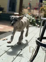 processed/c02002c0-19c8-4142-b364-6c384bc13027/listing/9fe114f3-d2bb-4447-b6b0-498f406d190e/51e16b8b-5a4a-484e-bdde-704e674a4d11