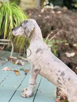 processed/c02002c0-19c8-4142-b364-6c384bc13027/listing/9fe114f3-d2bb-4447-b6b0-498f406d190e/5c774c48-4a40-4301-9f1c-33949200bb5d