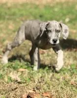 processed/c02002c0-19c8-4142-b364-6c384bc13027/listing/9fe114f3-d2bb-4447-b6b0-498f406d190e/64a7f95f-b121-4685-8cf2-1f19d26254d4