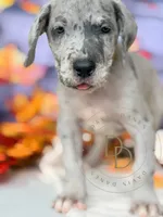 processed/c02002c0-19c8-4142-b364-6c384bc13027/listing/9fe114f3-d2bb-4447-b6b0-498f406d190e/ad4a3912-756d-444a-9e25-05ce0ca7c9cd