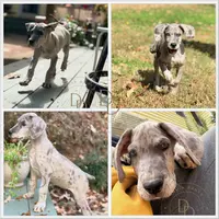 processed/c02002c0-19c8-4142-b364-6c384bc13027/listing/9fe114f3-d2bb-4447-b6b0-498f406d190e/b6d58d7f-459e-4ea9-96eb-6e87869970ee