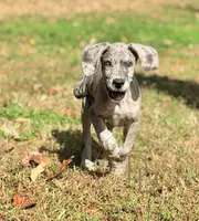 processed/c02002c0-19c8-4142-b364-6c384bc13027/listing/9fe114f3-d2bb-4447-b6b0-498f406d190e/c7bfedb3-5a3c-4203-b58d-6da7388eeb86