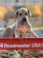 processed/c02002c0-19c8-4142-b364-6c384bc13027/listing/b2510a0e-8cda-4b33-8837-7eb6e21dba63/079ce83e-5049-40fd-8239-ab3d077298d6