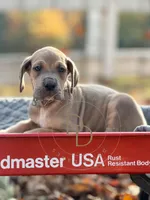 processed/c02002c0-19c8-4142-b364-6c384bc13027/listing/b2510a0e-8cda-4b33-8837-7eb6e21dba63/b07c8bca-f03a-47a8-a309-1fc49f5d2e4e