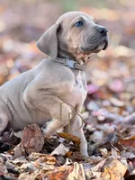 processed/c02002c0-19c8-4142-b364-6c384bc13027/listing/b2510a0e-8cda-4b33-8837-7eb6e21dba63/d8757cb8-cbf0-493c-b9f3-3724ac3042d7