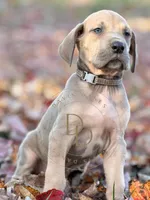 processed/c02002c0-19c8-4142-b364-6c384bc13027/listing/b2510a0e-8cda-4b33-8837-7eb6e21dba63/d8ce4c58-a56b-4395-a71d-54c562bfbdc9