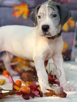 processed/c02002c0-19c8-4142-b364-6c384bc13027/listing/e3ca7d75-0293-4a63-8986-598b1b2ef97a/4d036f68-c6e4-4171-a2b2-e2d4682cf620