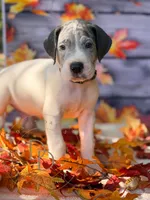 processed/c02002c0-19c8-4142-b364-6c384bc13027/listing/e3ca7d75-0293-4a63-8986-598b1b2ef97a/62ab2eb5-6517-40ee-8028-966d6a026859