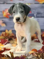 processed/c02002c0-19c8-4142-b364-6c384bc13027/listing/e3ca7d75-0293-4a63-8986-598b1b2ef97a/932f0055-9ff1-45ac-91df-7ab962219382