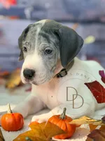 processed/c02002c0-19c8-4142-b364-6c384bc13027/listing/e3ca7d75-0293-4a63-8986-598b1b2ef97a/b86b1baf-af8f-445f-b74e-0cb1d56f31a9