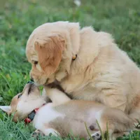 processed/c022378a-6db8-4cdd-885a-2f3aad952950/facility/12c8f82d-2b2a-4802-96d5-b9c7dd54638f