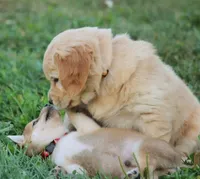 processed/c022378a-6db8-4cdd-885a-2f3aad952950/facility/12c8f82d-2b2a-4802-96d5-b9c7dd54638f