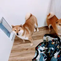 processed/c022378a-6db8-4cdd-885a-2f3aad952950/facility/17331e0f-57d0-4a1c-8338-e4251a57fc01