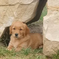 processed/c022378a-6db8-4cdd-885a-2f3aad952950/facility/28c50eed-0131-4e32-82a9-846ab039a8ca