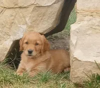 processed/c022378a-6db8-4cdd-885a-2f3aad952950/facility/28c50eed-0131-4e32-82a9-846ab039a8ca