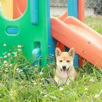 processed/c022378a-6db8-4cdd-885a-2f3aad952950/facility/5b05a42b-dba5-4f66-9e9d-c10731b87e00