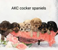 processed/c022378a-6db8-4cdd-885a-2f3aad952950/facility/a8f3b9b1-a56e-4051-a3cc-b00f8a5d9064