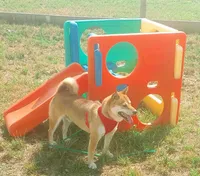 processed/c022378a-6db8-4cdd-885a-2f3aad952950/facility/ae2912b5-179b-4476-b6d1-2ae74e91db02