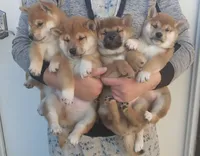 processed/c022378a-6db8-4cdd-885a-2f3aad952950/facility/c1a216f8-c71b-42c0-9e78-3f6f7393cd7e