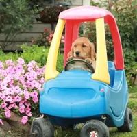 processed/c022378a-6db8-4cdd-885a-2f3aad952950/facility/d68d274d-888f-42c4-9396-ae9b0b24484c