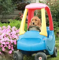 processed/c022378a-6db8-4cdd-885a-2f3aad952950/facility/d68d274d-888f-42c4-9396-ae9b0b24484c