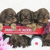 processed/c022378a-6db8-4cdd-885a-2f3aad952950/facility/d909b9d2-d2f0-4600-981f-1876c4b52a8d