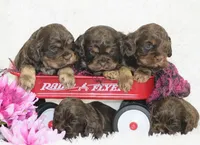 processed/c022378a-6db8-4cdd-885a-2f3aad952950/facility/d909b9d2-d2f0-4600-981f-1876c4b52a8d