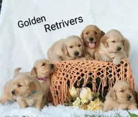 processed/c022378a-6db8-4cdd-885a-2f3aad952950/facility/f5f5afb4-f3c2-4b7d-8eaf-6573765cb602