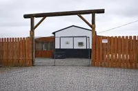 Reva, a female Shiba Inu for sale in Loyal, WI – Photo 9 of 10