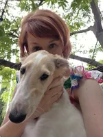 Victor, a male Borzoi for sale in Yucaipa, CA – 4 of 10