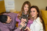 Jack, a male French Bulldog for sale in Crescent City, CA – Photo 2 of 4