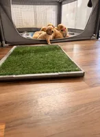 Facility photo