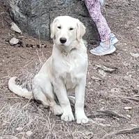 processed/c04241f9-0773-40da-9ce9-eee92721cb90/facility/4c7495b8-1b4e-4f99-aca7-24851522cd9b