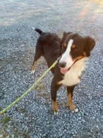 processed/c04a179a-de75-4e11-9e6e-621f36830bd9/facility/1af49df2-1a31-4633-a700-2a9f5d641b93